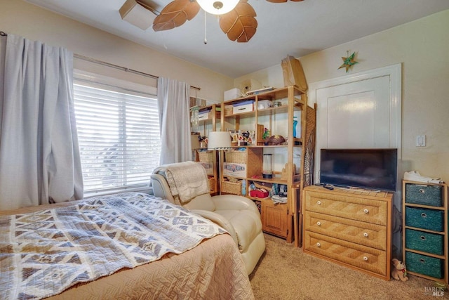 bedroom featuring carpet flooring