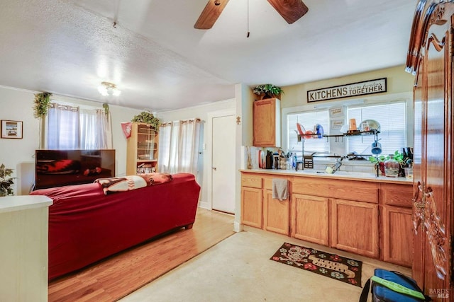 living room featuring a ceiling fan, light wood-style flooring, and a textured ceiling