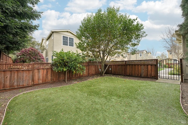 view of yard featuring fence private yard and a gate