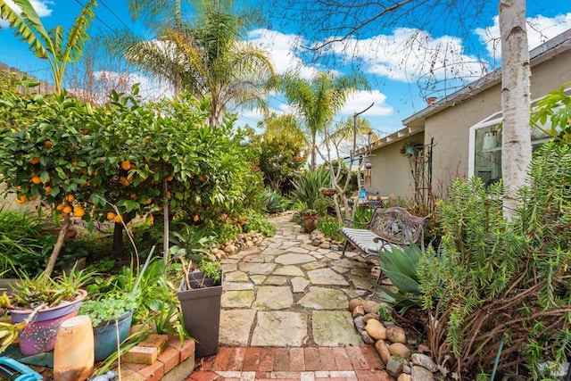 view of yard featuring a patio