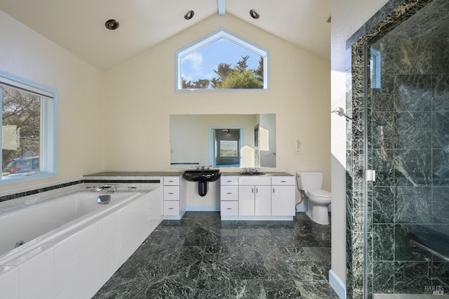 bathroom with a garden tub, toilet, a shower stall, vanity, and high vaulted ceiling