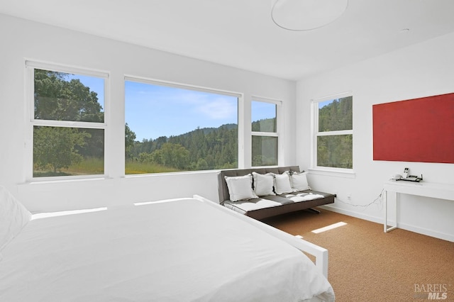 carpeted bedroom with baseboards