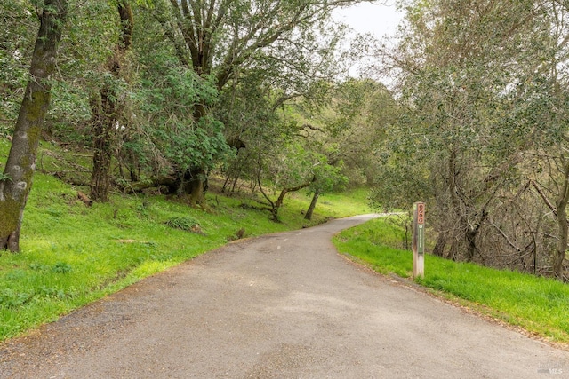 view of road with a view of trees