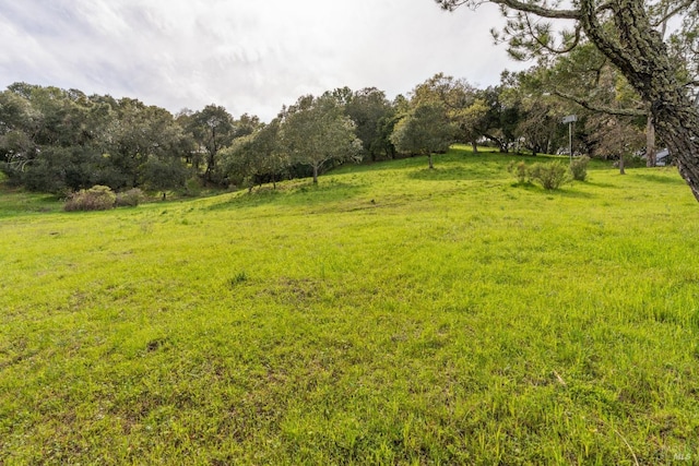 view of yard featuring a rural view