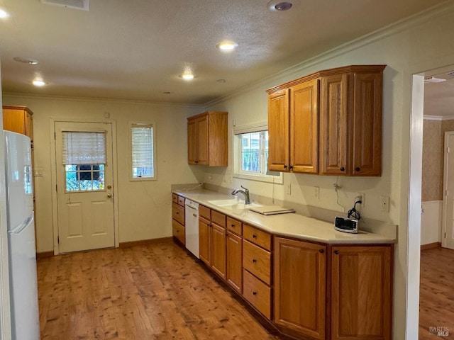 kitchen featuring ornamental molding, light wood-type flooring, white appliances, and a sink