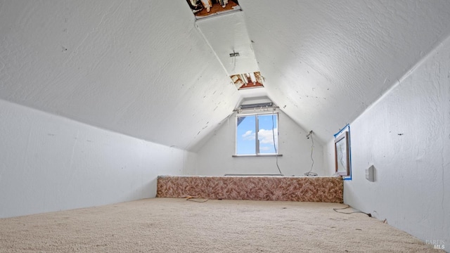 additional living space with lofted ceiling, a textured ceiling, and carpet flooring