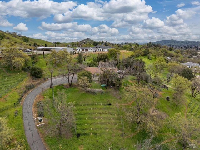 drone / aerial view featuring a rural view