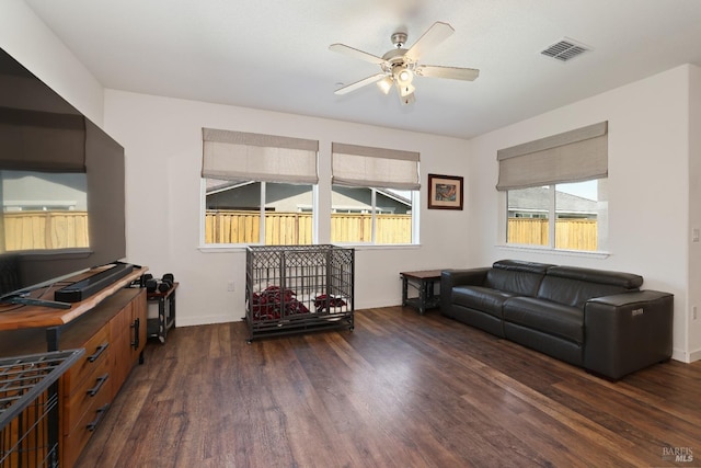 living room featuring ceiling fan, visible vents, baseboards, and dark wood-style floors