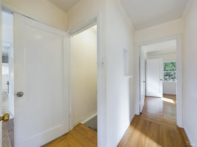 hallway featuring baseboards and wood finished floors