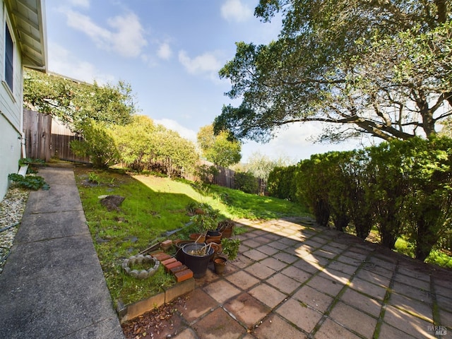 view of yard featuring a fenced backyard and a patio area