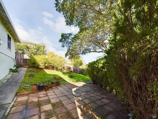 view of yard with a patio and a fenced backyard