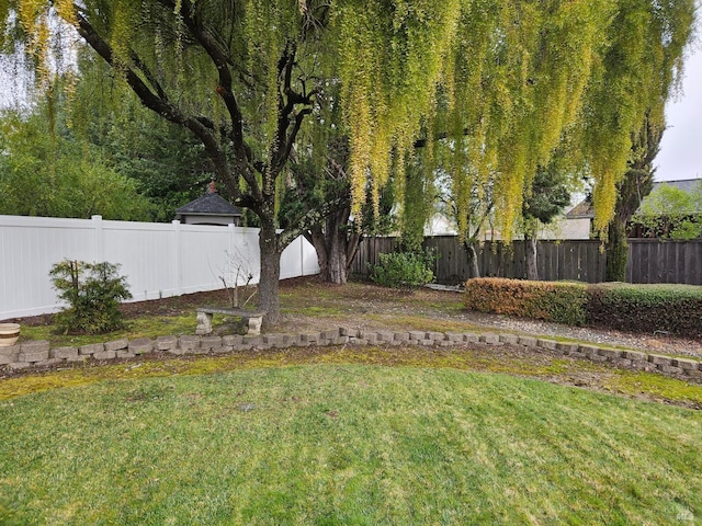 view of yard with a garage and a fenced backyard