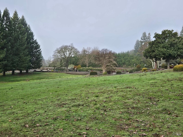 view of yard with a rural view