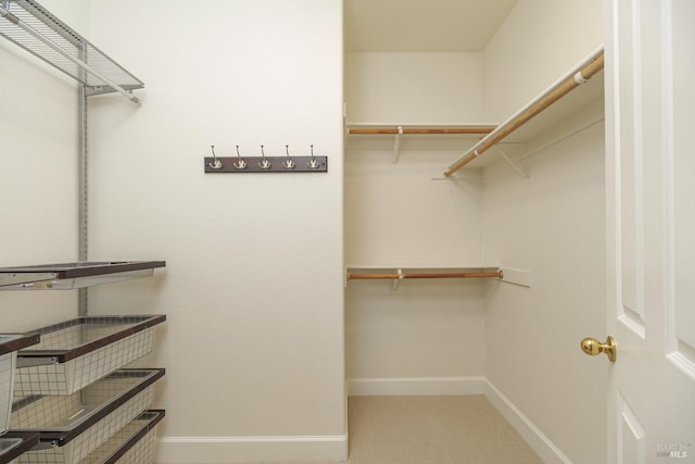 8 June Ct, Fairfax, CA 94930 - walk in closet featuring carpet flooring