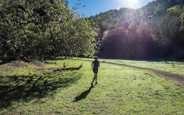 8 June Ct, Fairfax, CA 94930 - view of green lawn featuring a mountain view and a forest view