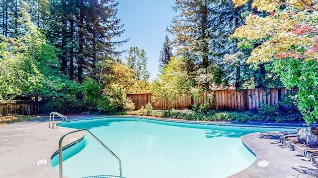 view of pool featuring a fenced in pool, a patio, and a fenced backyard