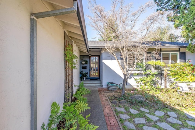 entrance to property with a shingled roof and stucco siding