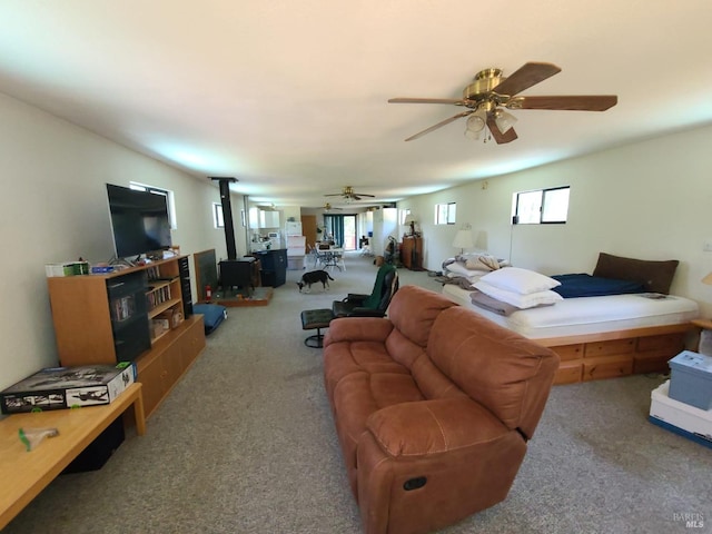 bedroom with carpet flooring