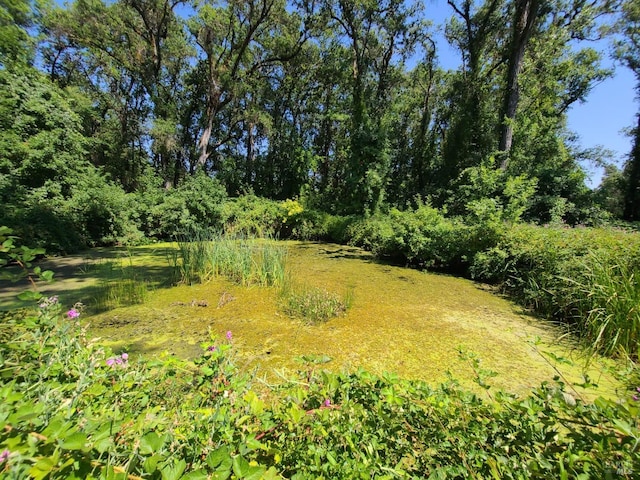 view of landscape