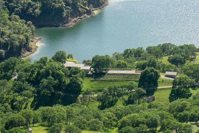 1011 Steele Canyon Rd, Napa, CA 94558 - aerial view of property and surrounding area featuring a large body of water and a forest