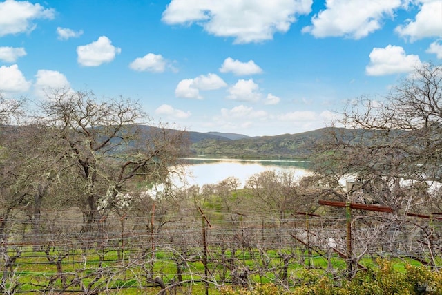 1011 Steele Canyon Rd, Napa, CA 94558 - water view with a mountain backdrop