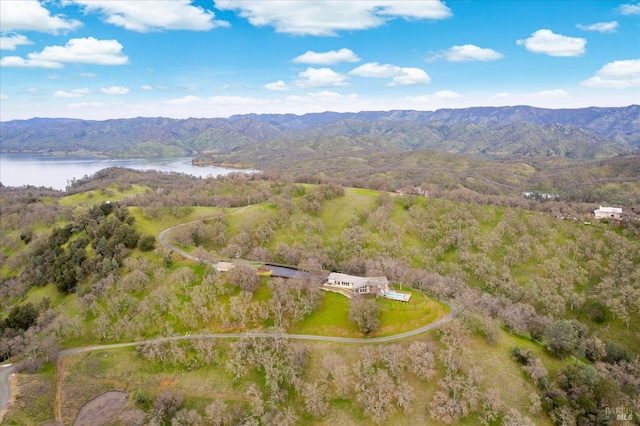 1011 Steele Canyon Rd, Napa, CA 94558 - bird's eye view of a water and mountain view and a heavily wooded area