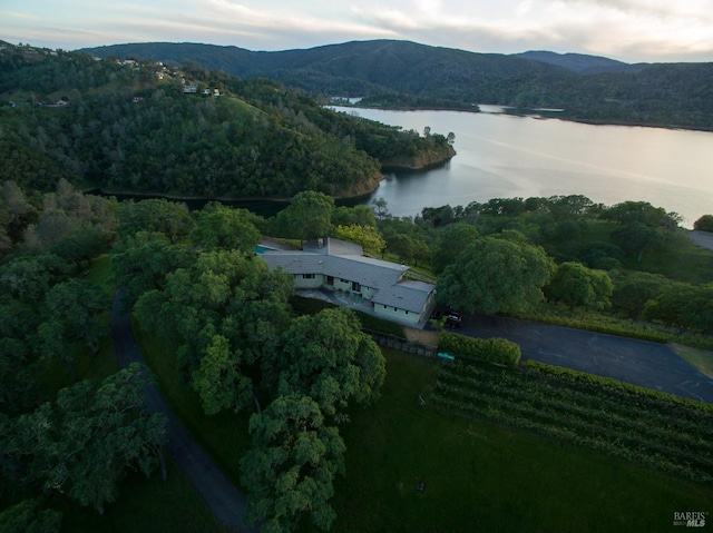 1011 Steele Canyon Rd, Napa, CA 94558 - view of property location with a water and mountain view and a forest