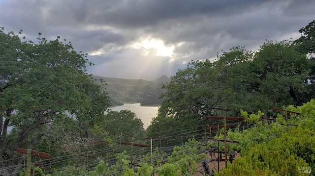 1011 Steele Canyon Rd, Napa, CA 94558 - view of mountain background