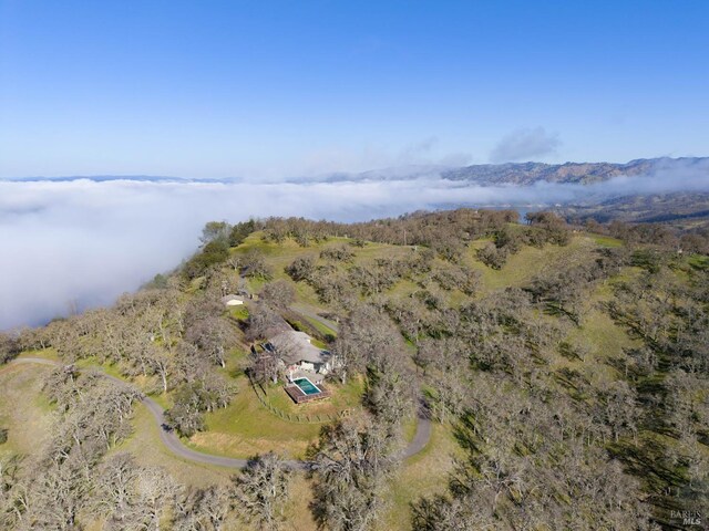 1011 Steele Canyon Rd, Napa, CA 94558 - drone / aerial view