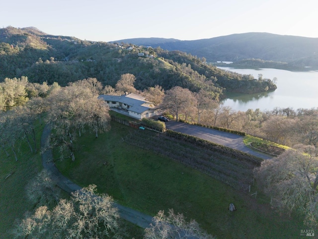 1011 Steele Canyon Rd, Napa, CA 94558 - view from above of property featuring a water and mountain view and a heavily wooded area