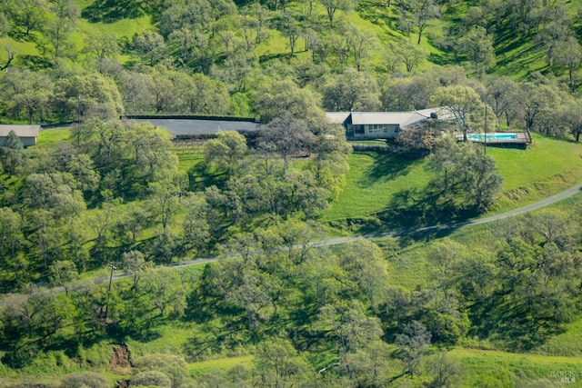1011 Steele Canyon Rd, Napa, CA 94558 - aerial view of property and surrounding area featuring a forest
