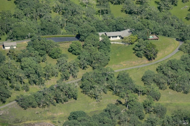 1011 Steele Canyon Rd, Napa, CA 94558 - aerial view of property and surrounding area with a heavily wooded area
