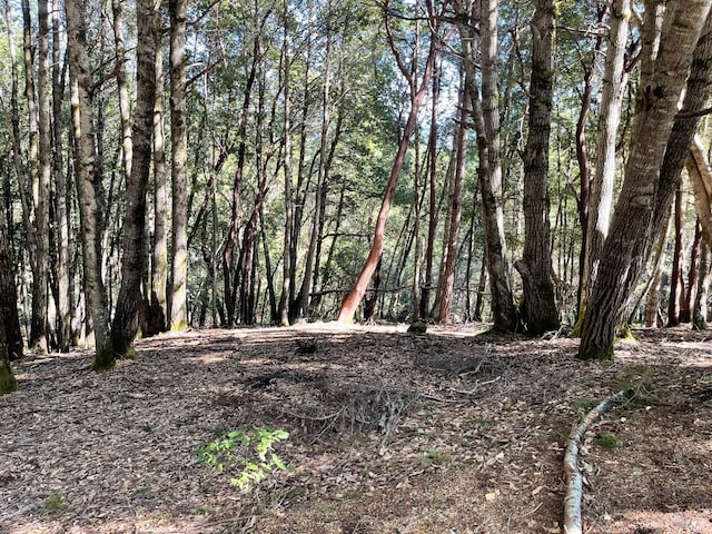 24221 Buckeye Ln, Willits, CA 95490