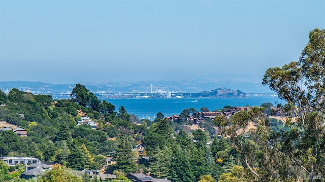 property view of mountains featuring a water view