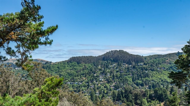 mountain view featuring a view of trees