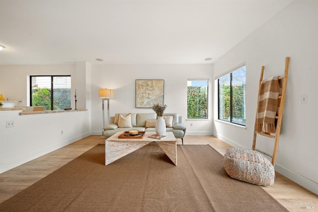 living area with a healthy amount of sunlight, baseboards, and wood finished floors