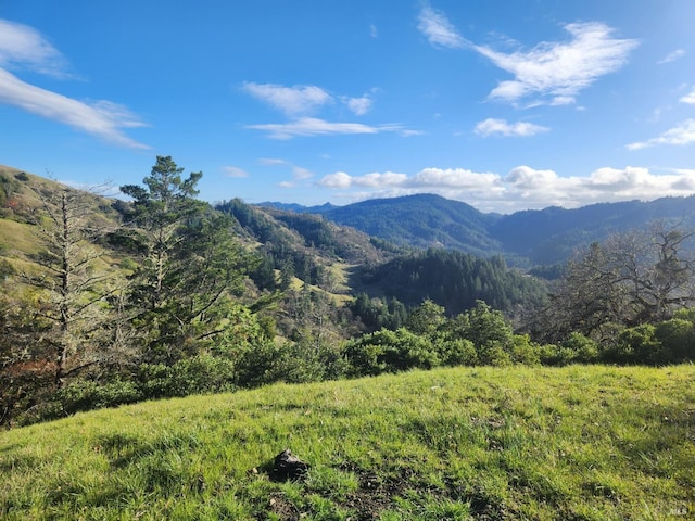 view of mountain feature featuring a forest view