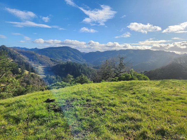 view of mountain feature