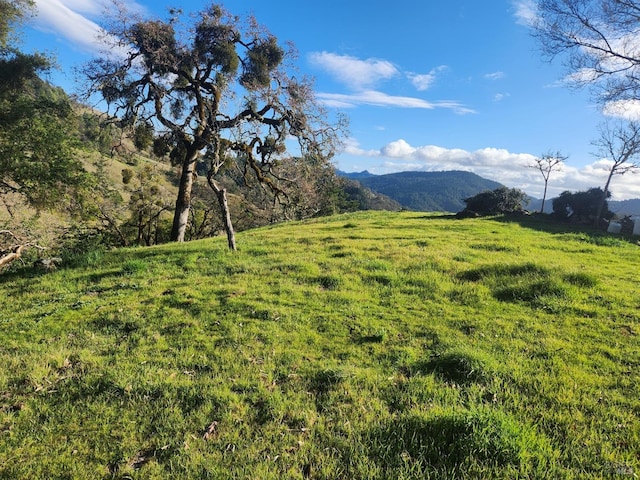 view of yard with a mountain view