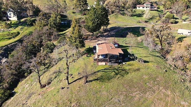 bird's eye view