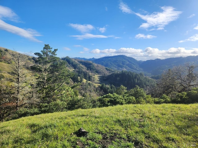 mountain view featuring a view of trees