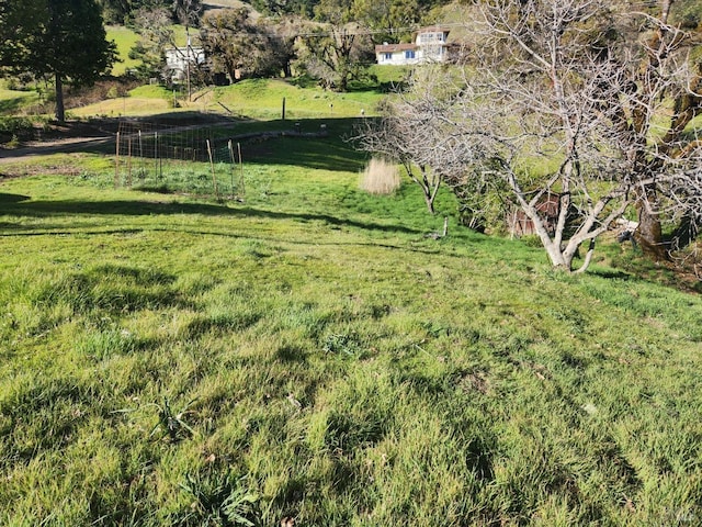 view of yard with a rural view