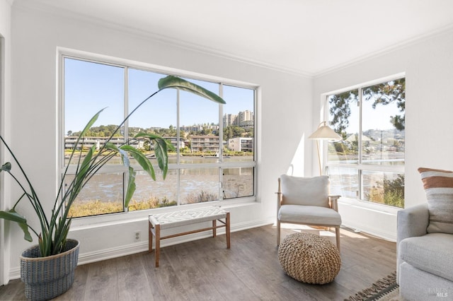 living area featuring ornamental molding, a healthy amount of sunlight, a city view, and wood finished floors