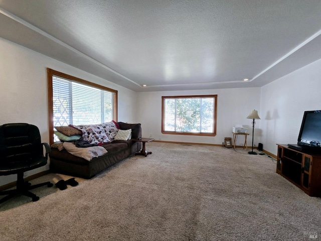 living area with a wealth of natural light, carpet flooring, a textured ceiling, and baseboards