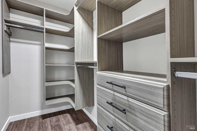 walk in closet featuring dark wood-type flooring