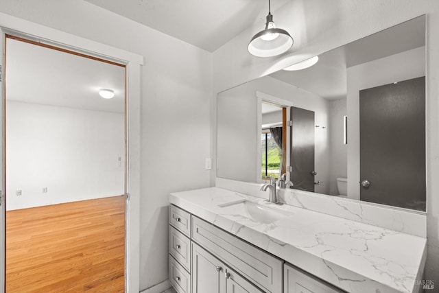 bathroom featuring vanity, toilet, and wood finished floors