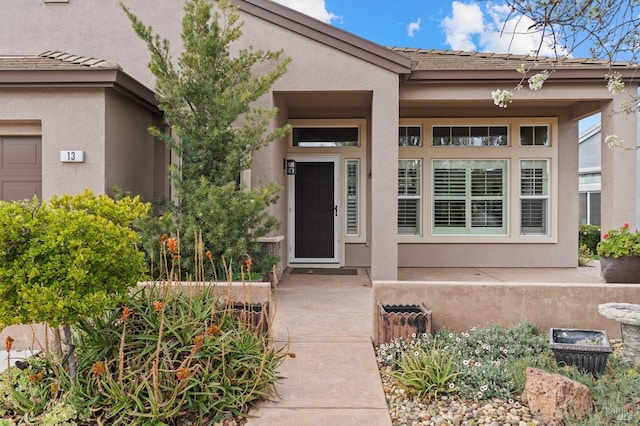 view of exterior entry with stucco siding