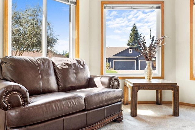 living area featuring baseboards, carpet floors, and a wealth of natural light