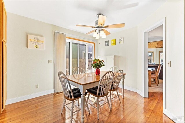 dining space featuring plenty of natural light, a ceiling fan, and light wood-style floors