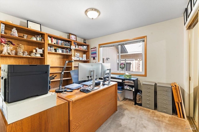 office featuring light carpet